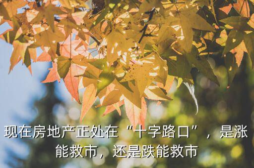現(xiàn)在房地產(chǎn)正處在“十字路口”，是漲能救市，還是跌能救市