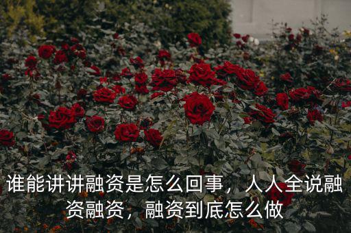 誰能講講融資是怎么回事，人人全說融資融資，融資到底怎么做