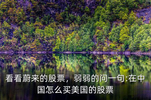 看看蔚來(lái)的股票，弱弱的問(wèn)一句:在中國(guó)怎么買美國(guó)的股票