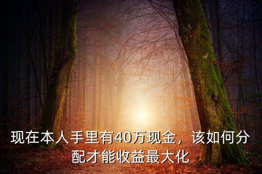 現(xiàn)在本人手里有40萬現(xiàn)金，該如何分配才能收益最大化