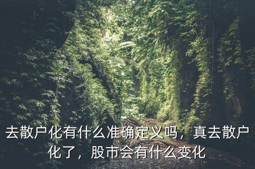 去散戶化有什么準(zhǔn)確定義嗎，真去散戶化了，股市會(huì)有什么變化