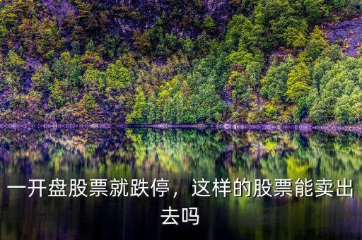 一開盤股票就跌停，這樣的股票能賣出去嗎