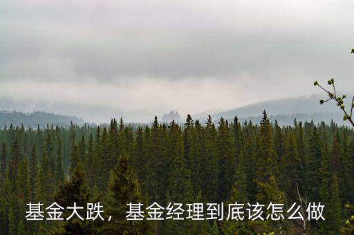 基金大跌，基金經(jīng)理到底該怎么做
