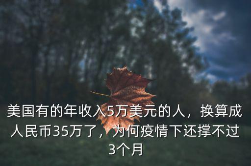 美國(guó)有的年收入5萬(wàn)美元的人，換算成人民幣35萬(wàn)了，為何疫情下還撐不過(guò)3個(gè)月