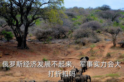 俄羅斯經(jīng)濟發(fā)展不起來，軍事實力會大打折扣嗎