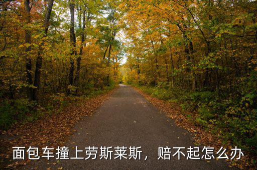 面包車撞上勞斯萊斯，賠不起怎么辦