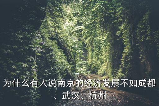 為什么有人說南京的經(jīng)濟發(fā)展不如成都、武漢、杭州