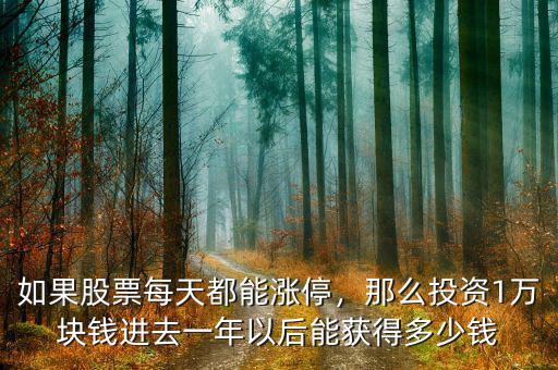 如果股票每天都能漲停，那么投資1萬(wàn)塊錢(qián)進(jìn)去一年以后能獲得多少錢(qián)