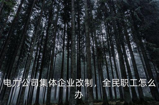 電力公司集體企業(yè)改制，全民職工怎么辦