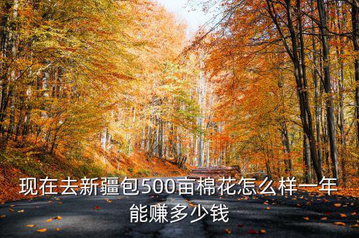 新疆棉花補(bǔ)貼多少錢(qián),一年能賺多少錢(qián)