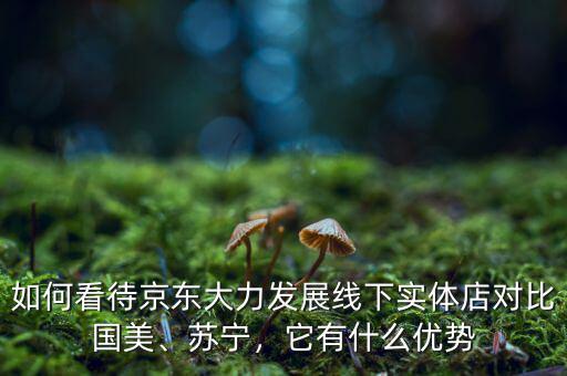如何看待京東大力發(fā)展線下實體店對比國美、蘇寧，它有什么優(yōu)勢