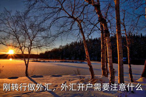 剛轉(zhuǎn)行做外匯，外匯開戶需要注意什么