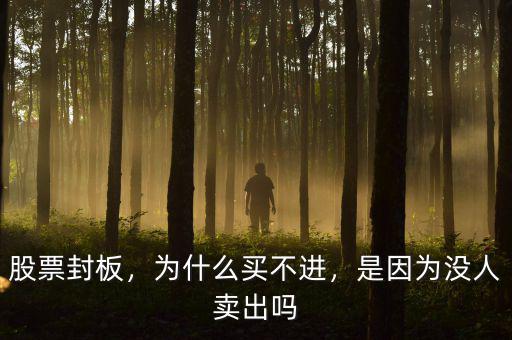 股票封板，為什么買不進，是因為沒人賣出嗎