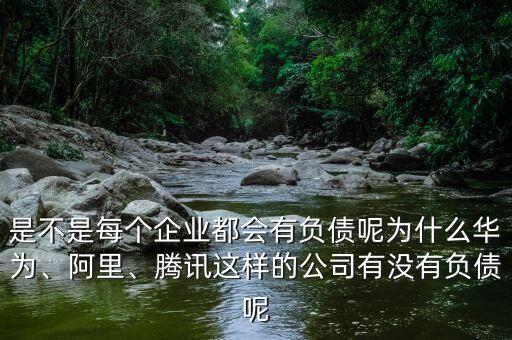 是不是每個企業(yè)都會有負債呢為什么華為、阿里、騰訊這樣的公司有沒有負債呢