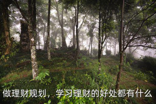做理財規(guī)劃，學(xué)習(xí)理財?shù)暮锰幎加惺裁? class=