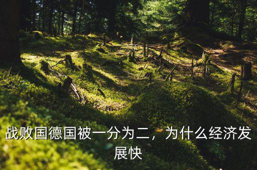 戰(zhàn)敗國德國被一分為二，為什么經(jīng)濟(jì)發(fā)展快