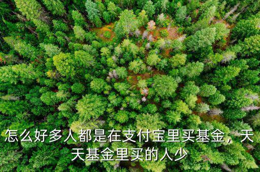 怎么好多人都是在支付寶里買(mǎi)基金，天天基金里買(mǎi)的人少