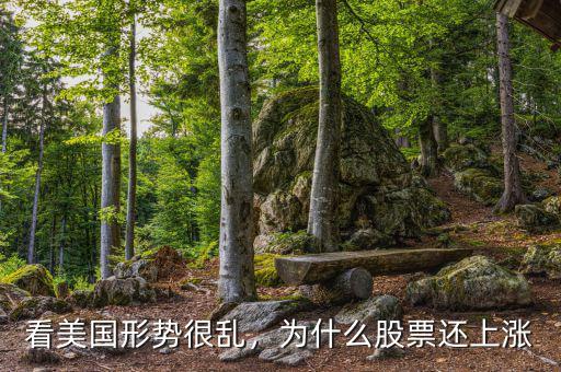 看美國形勢(shì)很亂，為什么股票還上漲