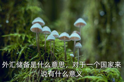 外匯儲備是什么意思，對于一個國家來說有什么意義