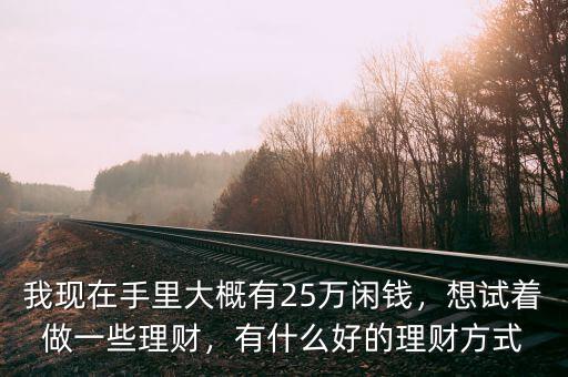 我現(xiàn)在手里大概有25萬(wàn)閑錢，想試著做一些理財(cái)，有什么好的理財(cái)方式