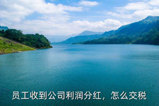 員工收到公司利潤分紅，怎么交稅
