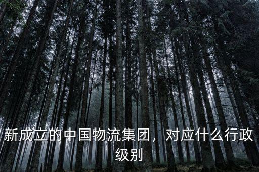 新成立的中國物流集團(tuán)，對應(yīng)什么行政級別
