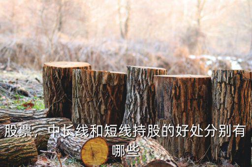 股票，中長線和短線持股的好處分別有哪些