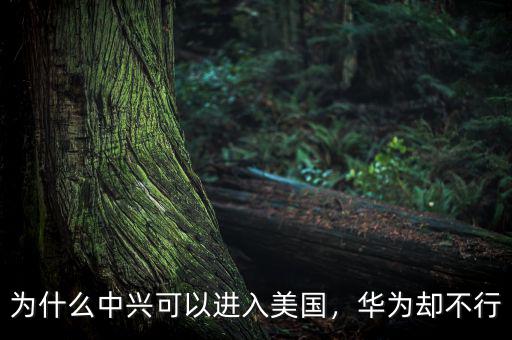 為什么中興可以進入美國，華為卻不行