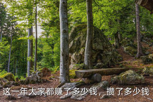 這一年大家都賺了多少錢，攢了多少錢