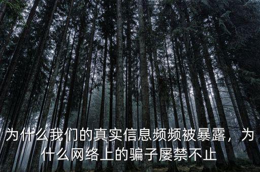 為什么我們的真實(shí)信息頻頻被暴露，為什么網(wǎng)絡(luò)上的騙子屢禁不止