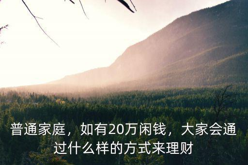 普通家庭，如有20萬閑錢，大家會通過什么樣的方式來理財