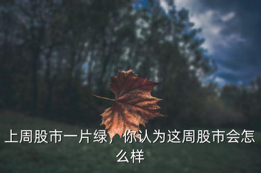 上周股市一片綠，你認(rèn)為這周股市會怎么樣
