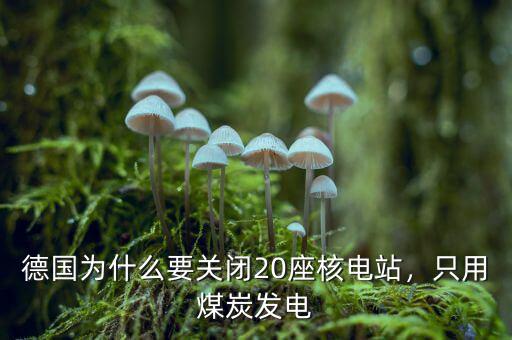 德國(guó)為什么要關(guān)閉20座核電站，只用煤炭發(fā)電