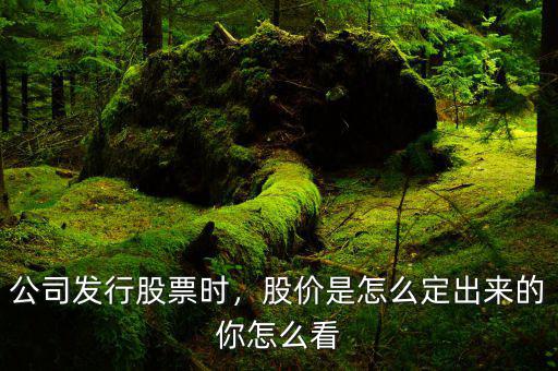 公司發(fā)行股票時，股價是怎么定出來的你怎么看