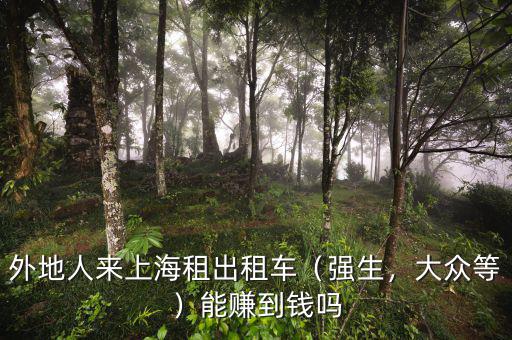 外地人來上海租出租車（強(qiáng)生，大眾等）能賺到錢嗎