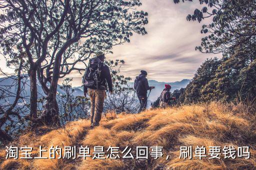 淘寶上的刷單是怎么回事，刷單要錢嗎