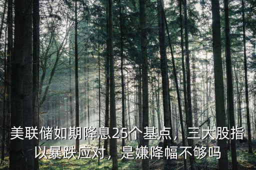美聯(lián)儲如期降息25個基點，三大股指以暴跌應對，是嫌降幅不夠嗎