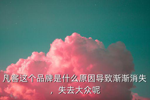 凡客這個品牌是什么原因導致漸漸消失，失去大眾呢