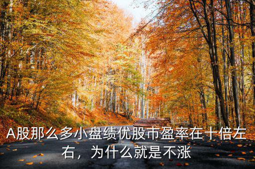 A股那么多小盤績優(yōu)股市盈率在十倍左右，為什么就是不漲