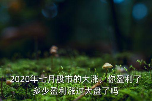 2020年七月股市的大漲，你盈利了多少盈利漲過大盤了嗎