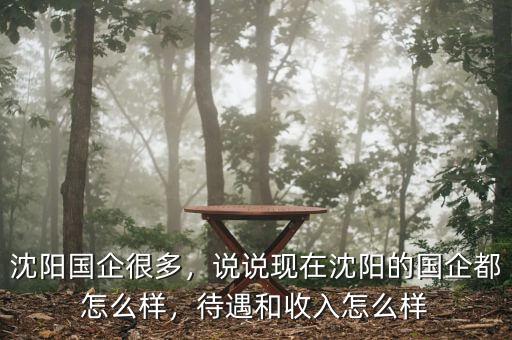 沈陽(yáng)國(guó)企很多，說(shuō)說(shuō)現(xiàn)在沈陽(yáng)的國(guó)企都怎么樣，待遇和收入怎么樣