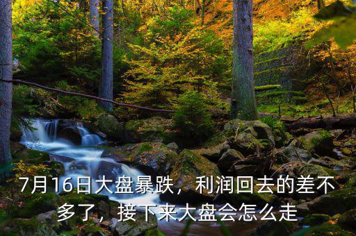 7月16日大盤(pán)暴跌，利潤(rùn)回去的差不多了，接下來(lái)大盤(pán)會(huì)怎么走