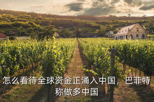 怎么看待全球資金正涌入中國，巴菲特稱做多中國