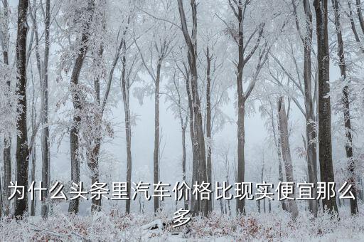為什么頭條里汽車價格比現實便宜那么多