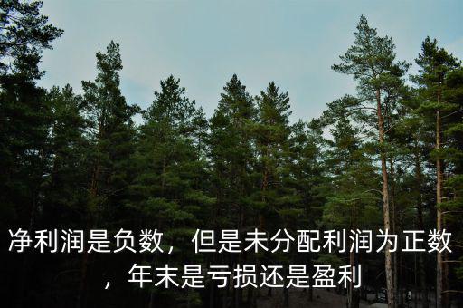 凈利潤是負數(shù)，但是未分配利潤為正數(shù)，年末是虧損還是盈利