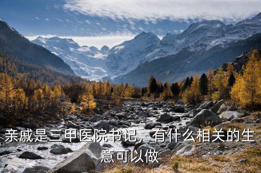 親戚是三甲醫(yī)院書記，有什么相關(guān)的生意可以做