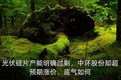 光伏硅片產(chǎn)能明確過(guò)剩，中環(huán)股份卻超預(yù)期漲價(jià)，底氣如何