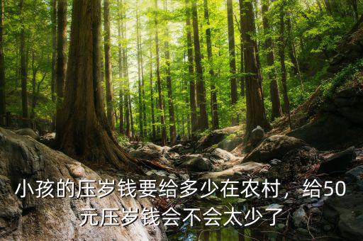 小孩的壓歲錢要給多少在農(nóng)村，給50元壓歲錢會(huì)不會(huì)太少了
