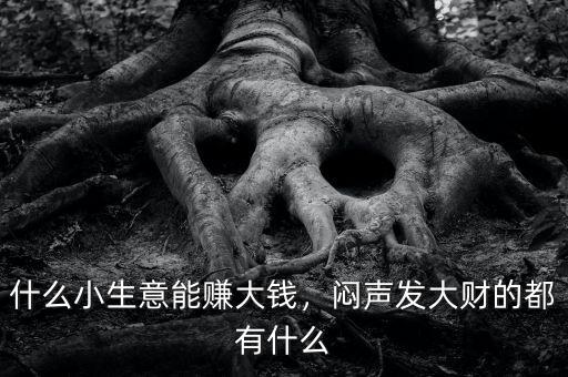 什么小生意能賺大錢(qián)，悶聲發(fā)大財(cái)?shù)亩加惺裁? class=
