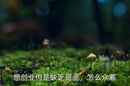 想創(chuàng)業(yè)但是缺乏資金，怎么眾籌